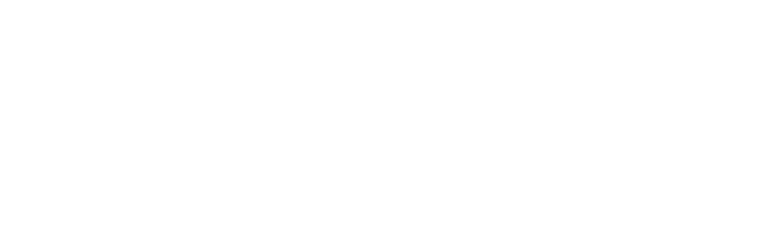 Iron Dog