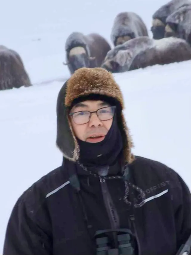 A man in a fur hat and parka with binoculars round his neck stands in the snow, a herd of musk oxen on the rise behind him.